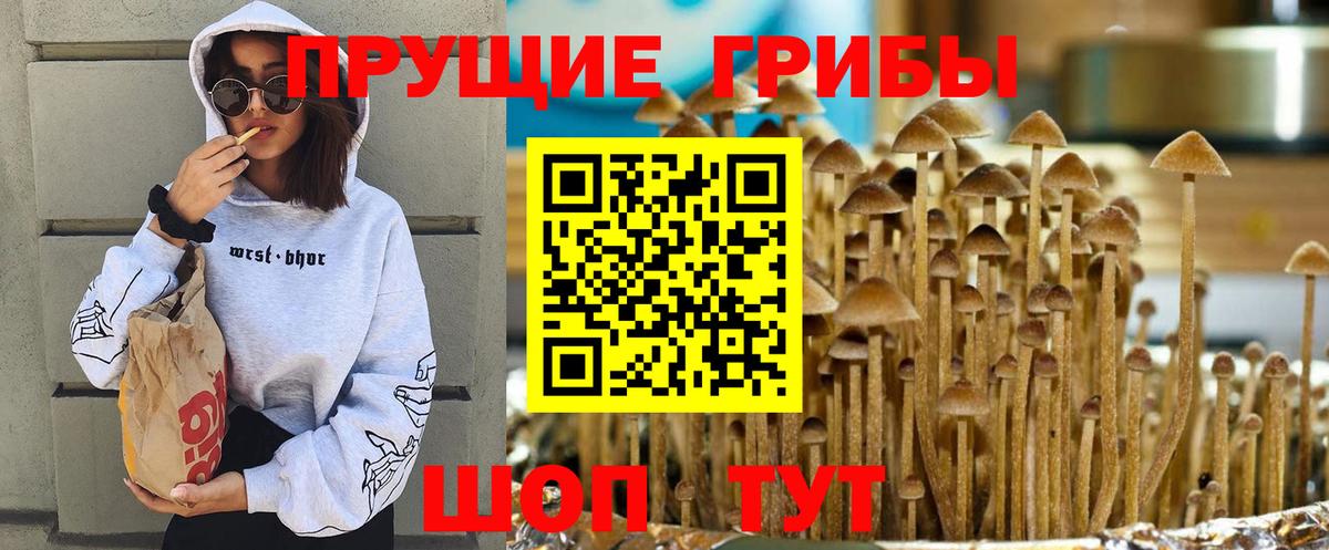 Галлюциногенные грибы Magic Shrooms Калуга