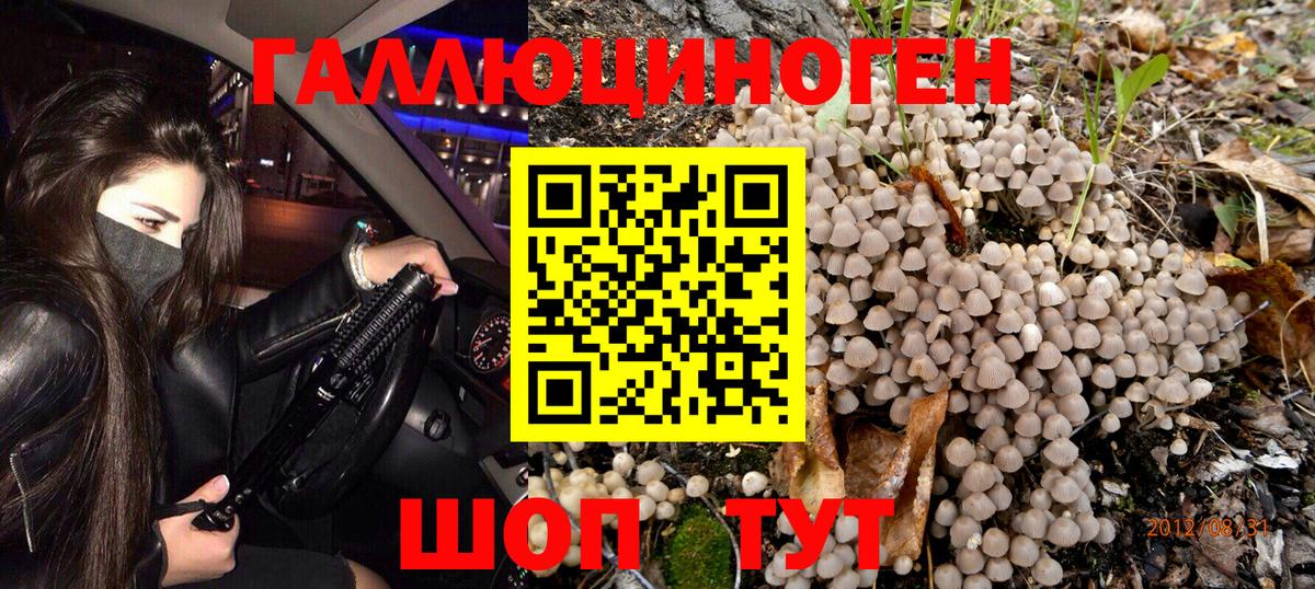 Псилоцибиновые грибы GOLDEN TEACHER  где купить   Псилоцибиновые грибы мицелий  Калуга  Вход с VPN 